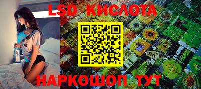 гидра Берёзовский