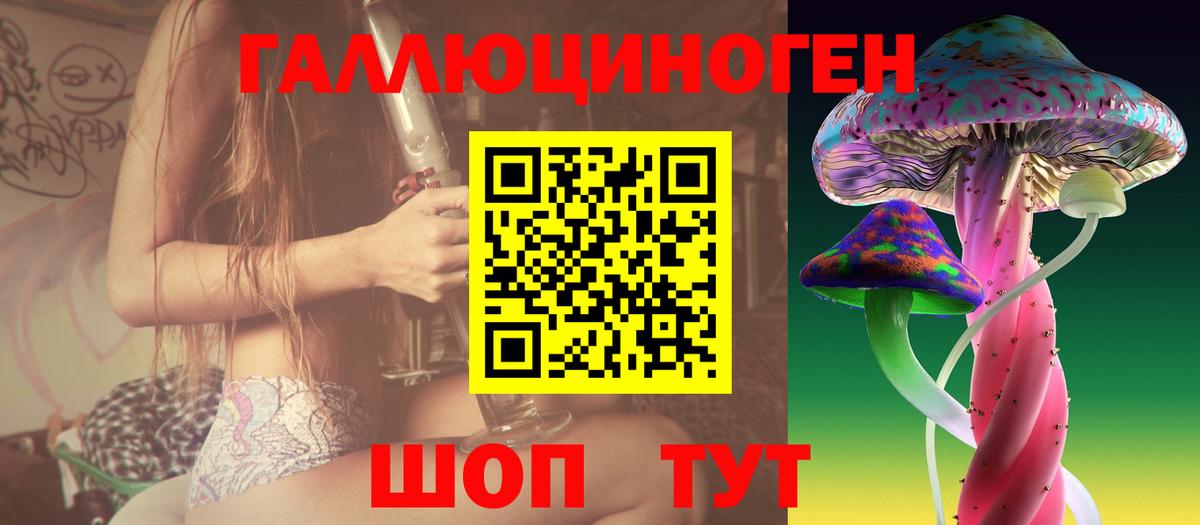 Галлюциногенные грибы Psilocybine cubensis Ижевск