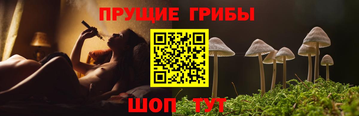 Ижевск  наркошоп  Вход с VPN  Псилоцибиновые грибы Magic Shrooms 